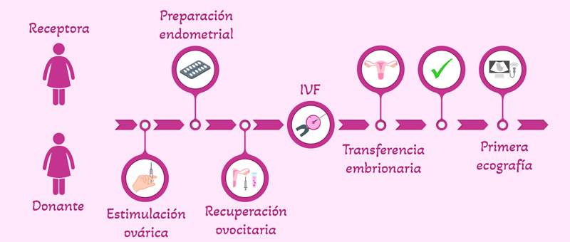 Anagrama del proceso de donación ovocitaria