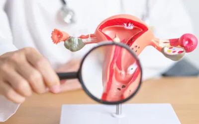 Endometrite e fertilità