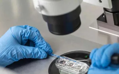 E dal pick up al transfer embrionario? Tutto quello che devi sapere! 💖