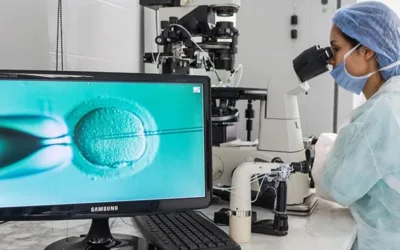 Ovuli freschi o ovuli vitrificati? 🇪🇸🧬