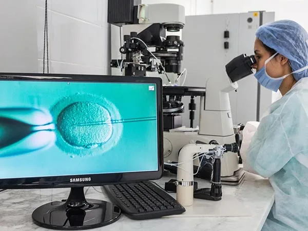 Ovuli freschi o ovuli vitrificati? 🇪🇸🧬